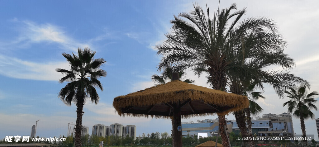 海滨棕榈下的遮阳凉亭休闲场景