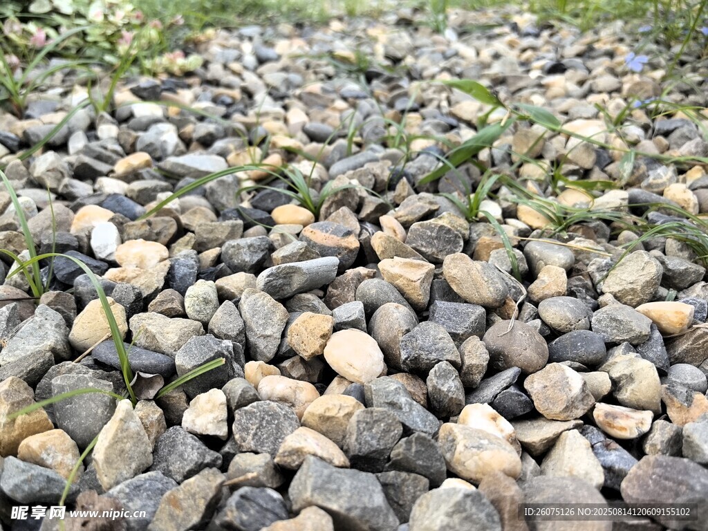 铺满鹅卵石的碎石地面