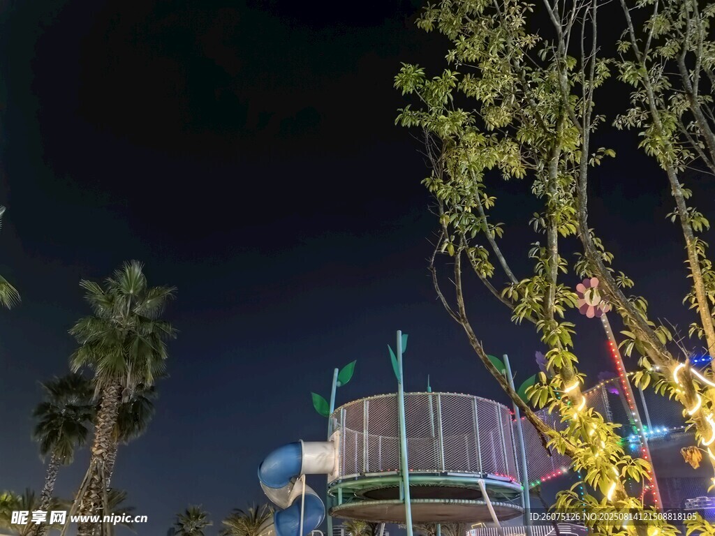 夜晚游乐园设施与绿植景观