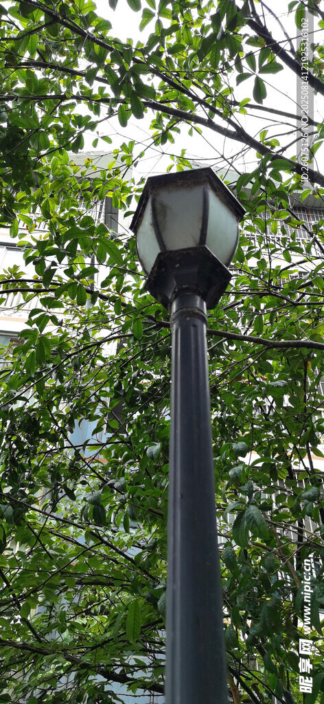 林间复古路灯