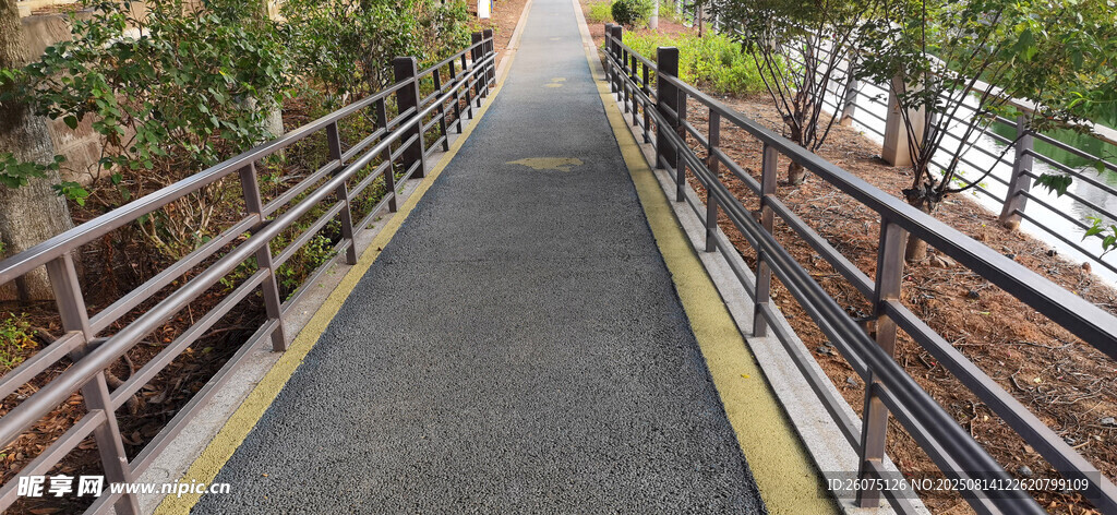 城市木质栈道风景