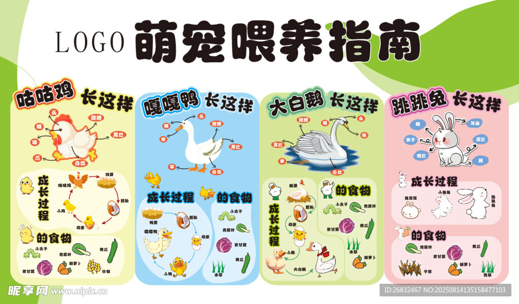 幼儿园萌宠喂养指南