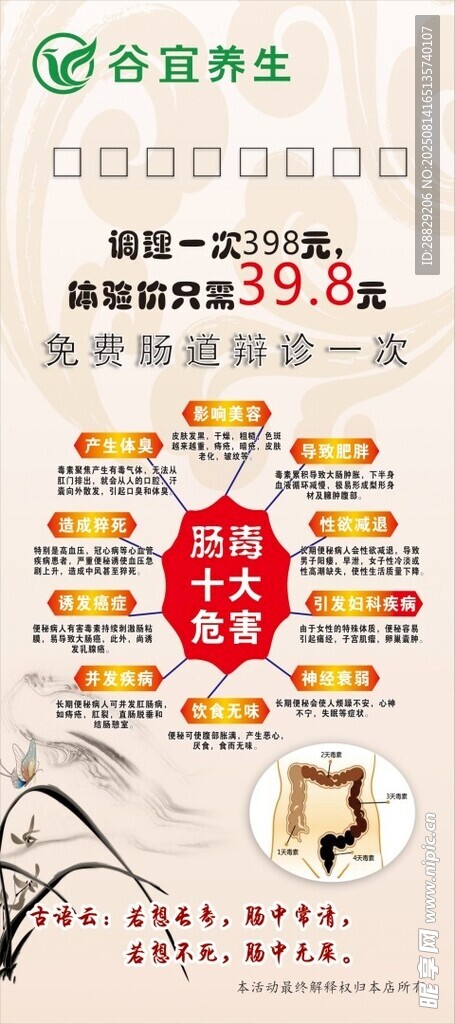 营养养生肠毒知识宣传海报