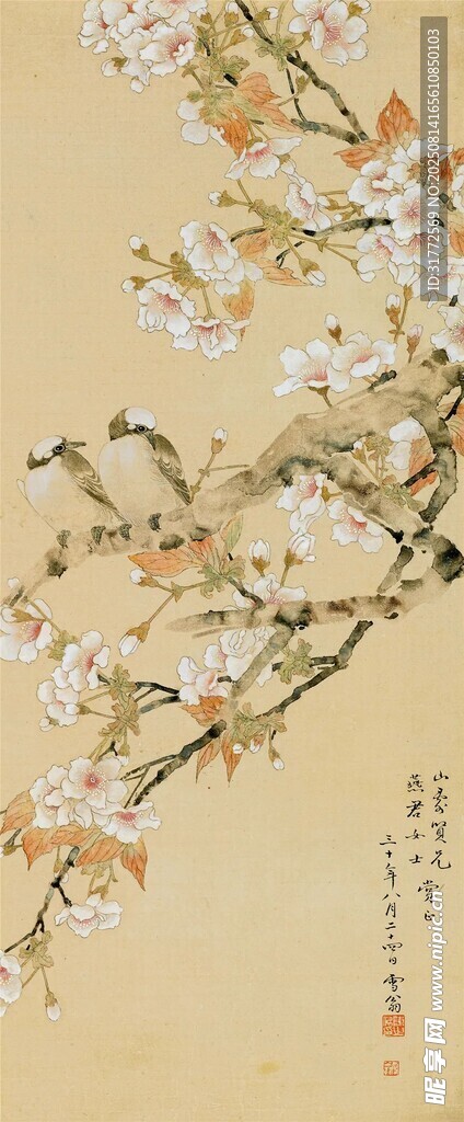 枝头绽繁花