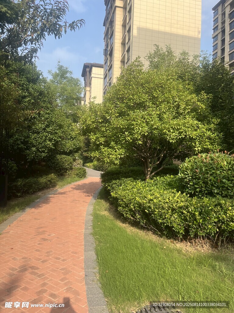 城市中的静谧林荫小道