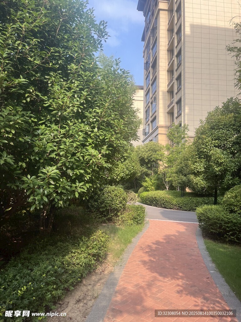 小区内的林荫步道