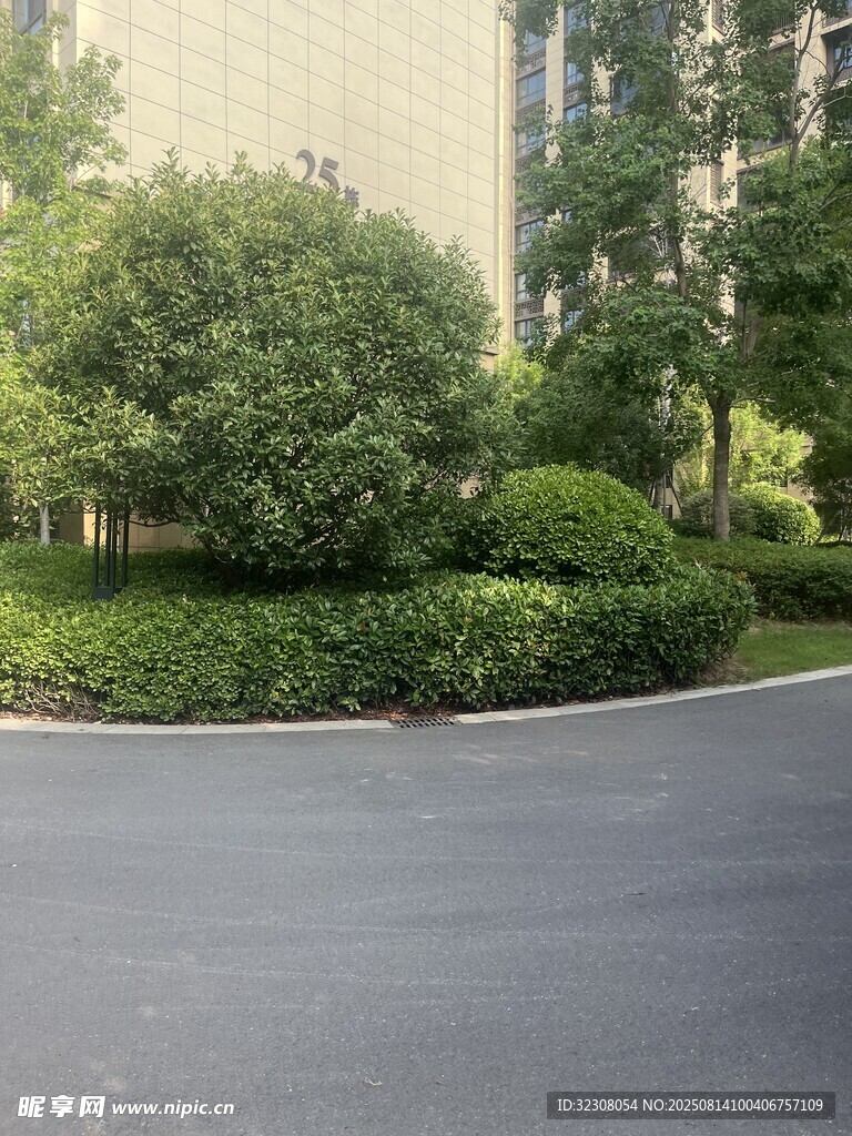 小区内的绿植景观