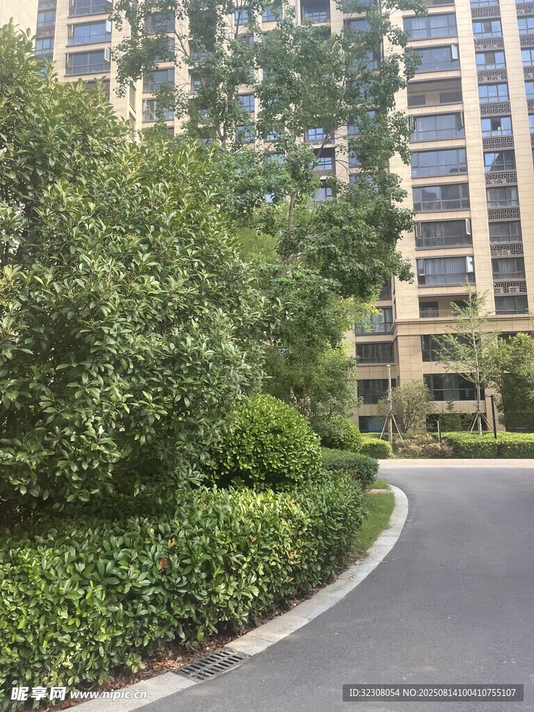 小区内的绿化道路景观