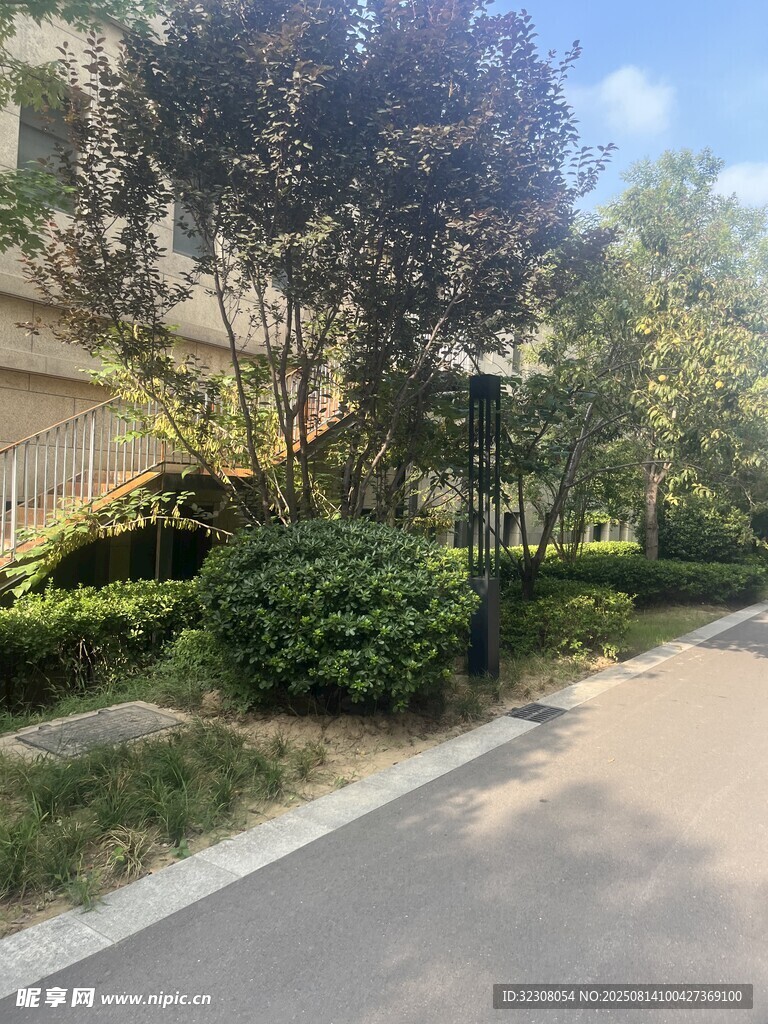 小区道路旁的绿植景观