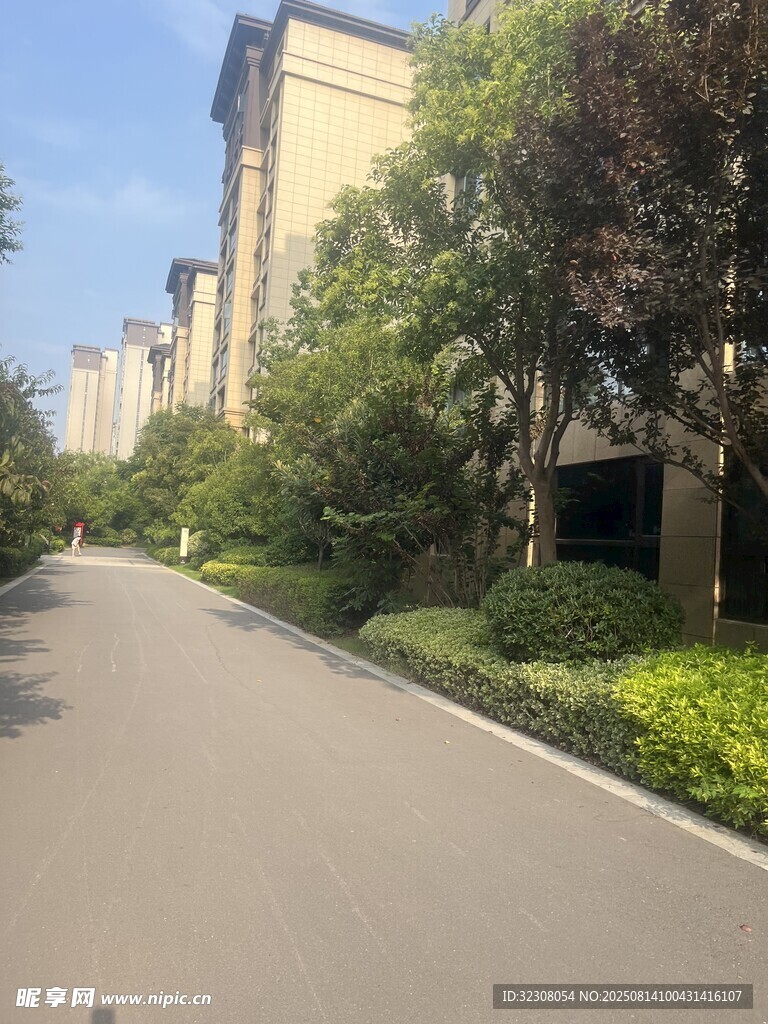 小区内的林荫道路景观