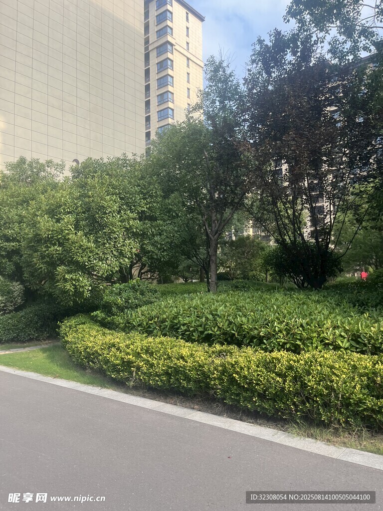 城市路边绿植景观