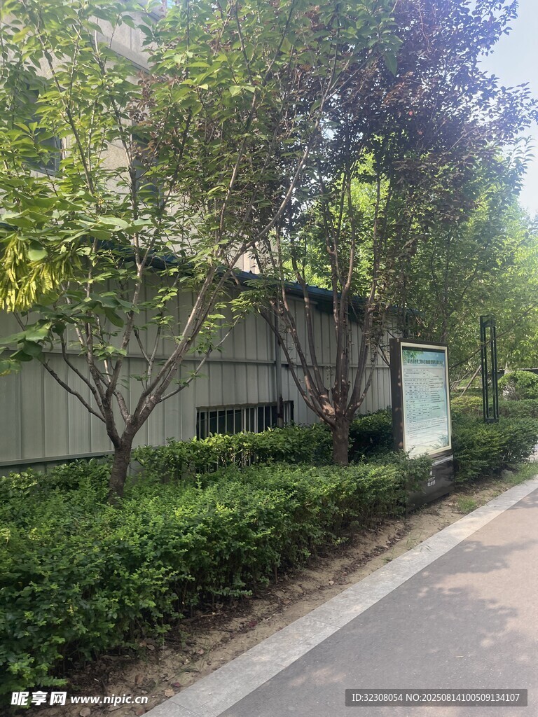 路边绿植景观