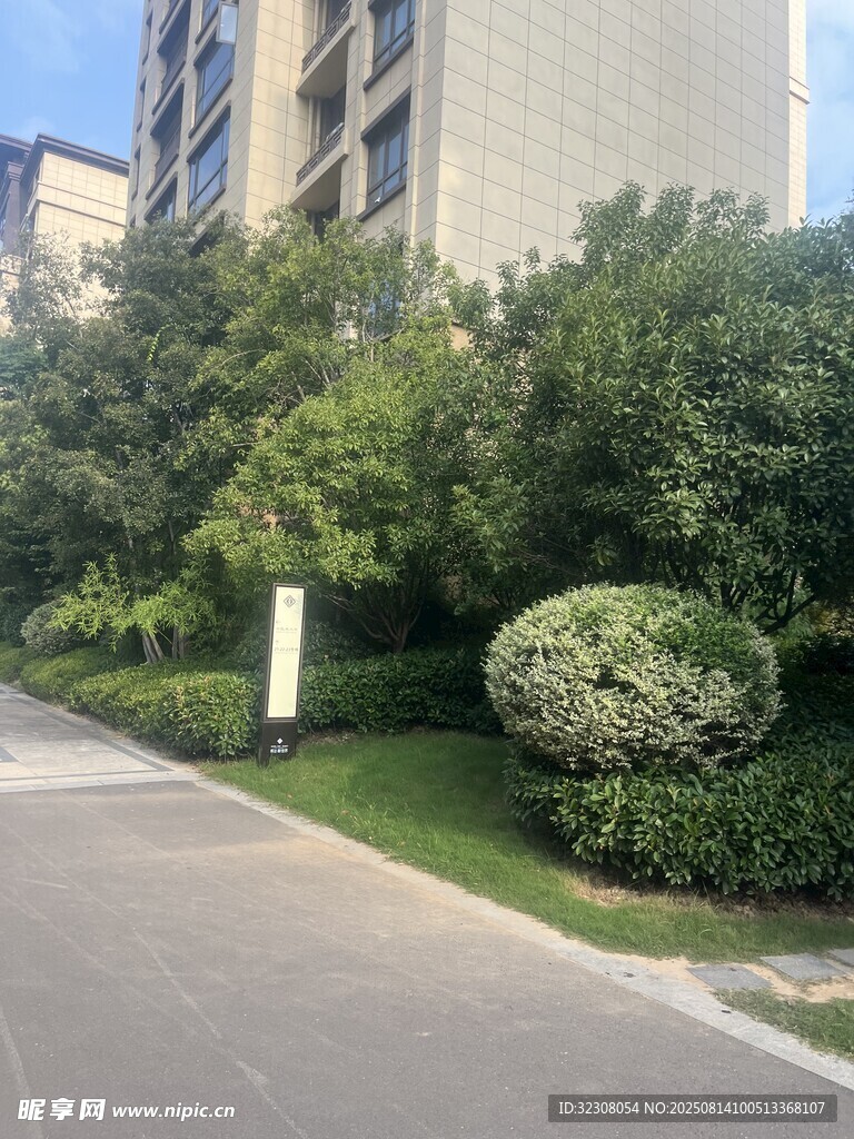小区旁绿意盎然的景观道