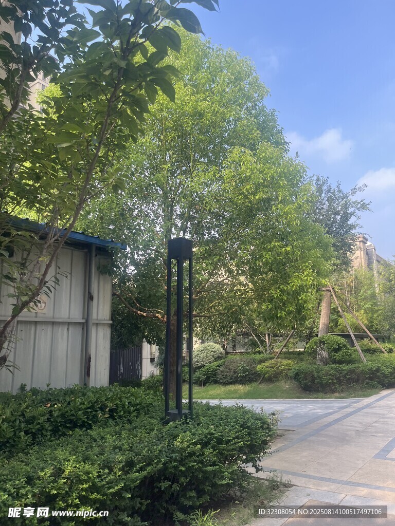 小区静谧一角景观