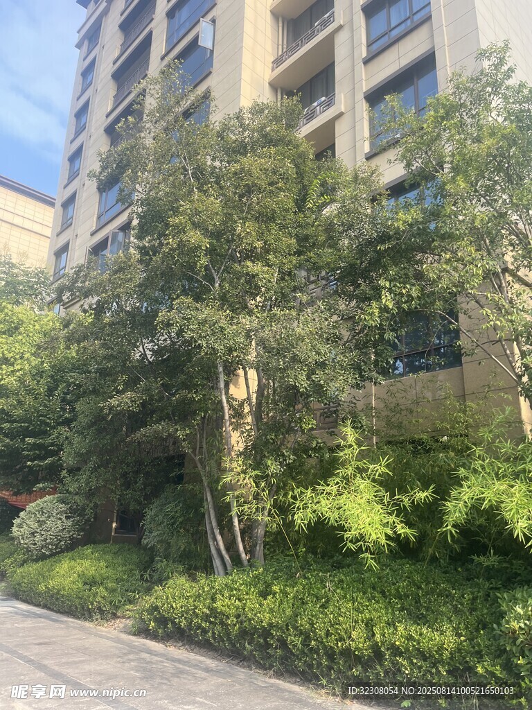 小区绿植环绕的楼宇景观