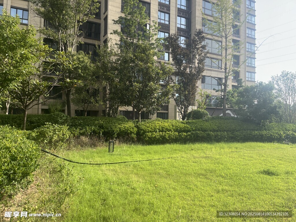 城市中的绿地与高楼景观