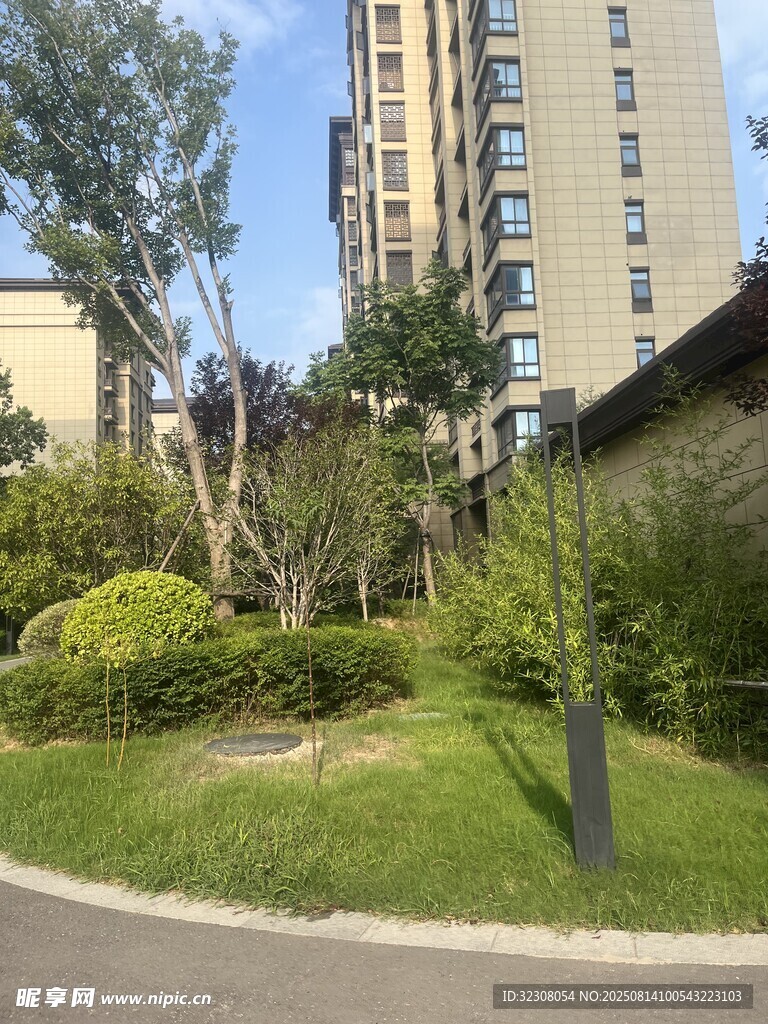 小区内的绿化景观一角