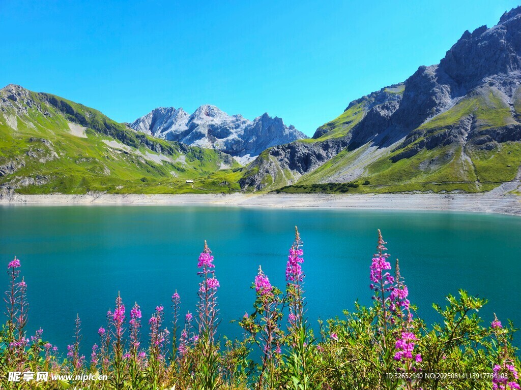 湖畔繁花映青山美景