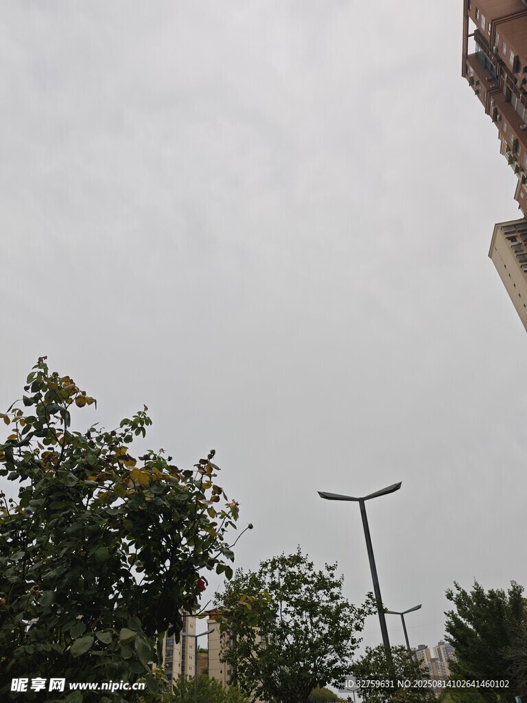 户外路灯与绿植景观