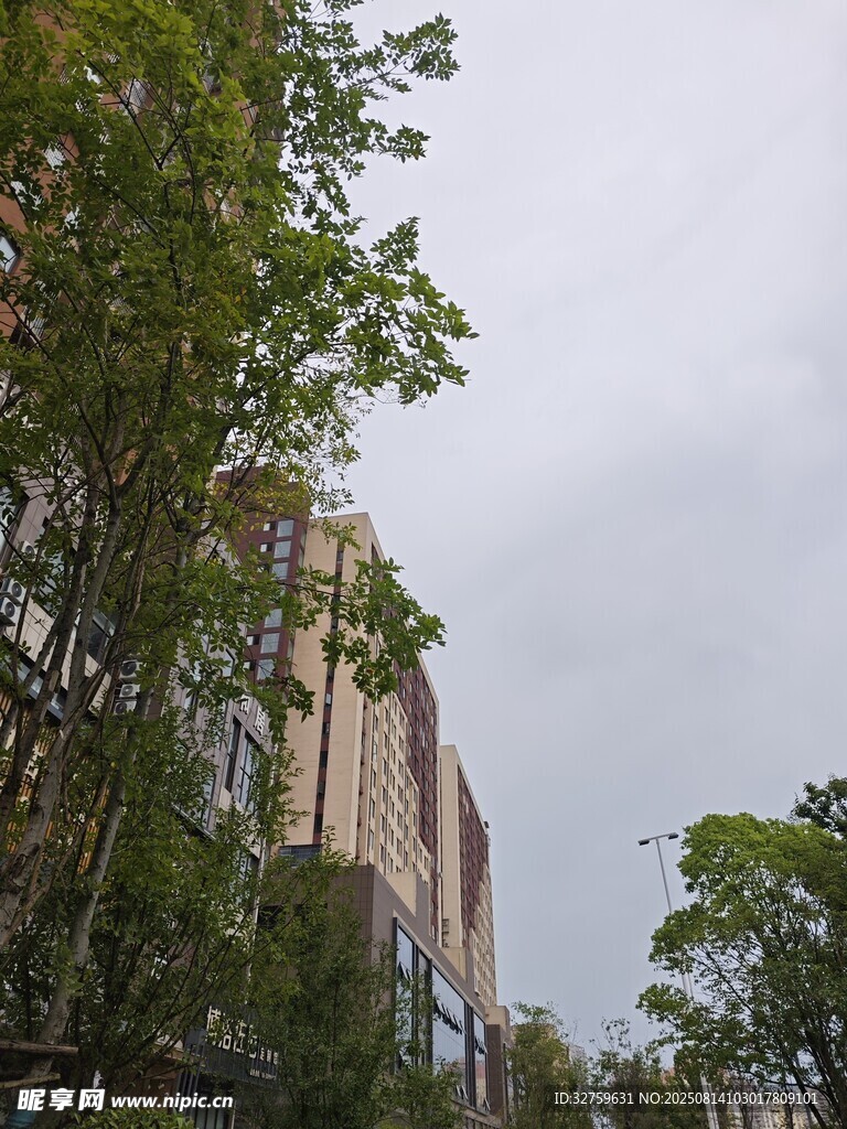 绿树环绕的高楼景观