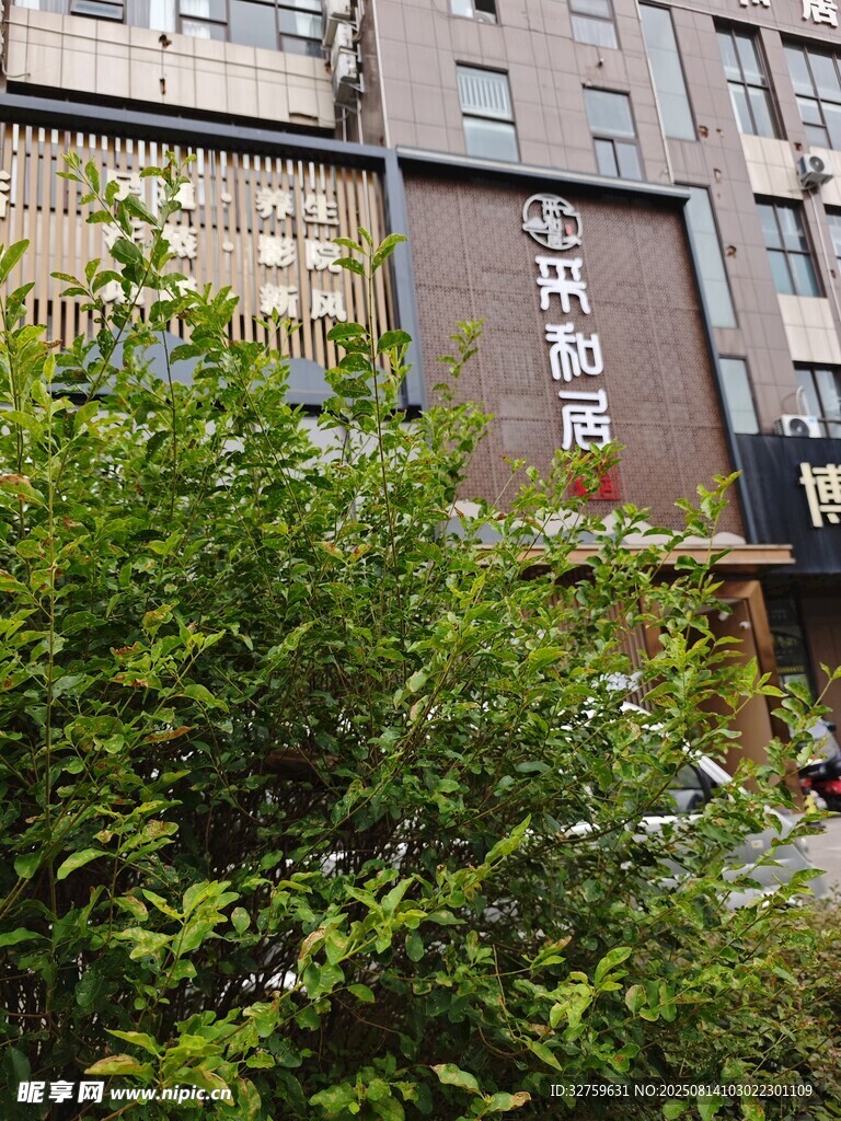 户外绿植旁的建筑物标识