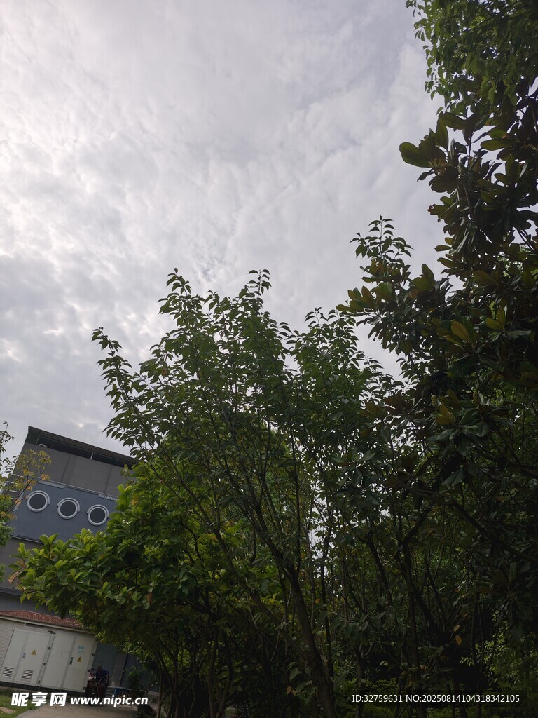 绿树掩映下的房屋一角