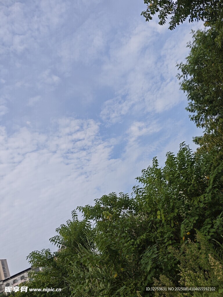 蓝天绿树风景