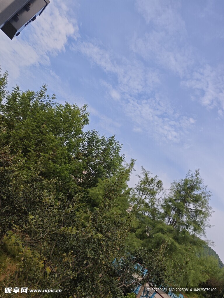 蓝天绿树的自然景致