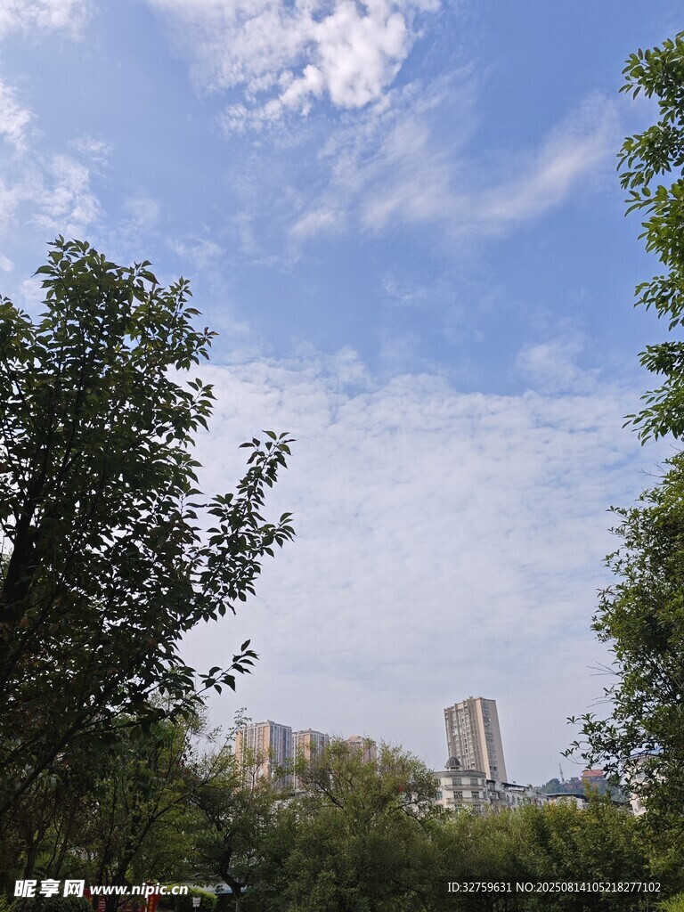 绿树蓝天间的城市远景