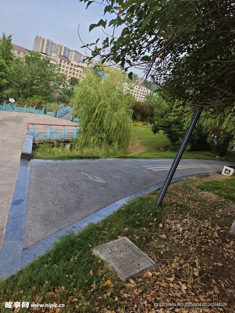公园休闲场地与绿植景观