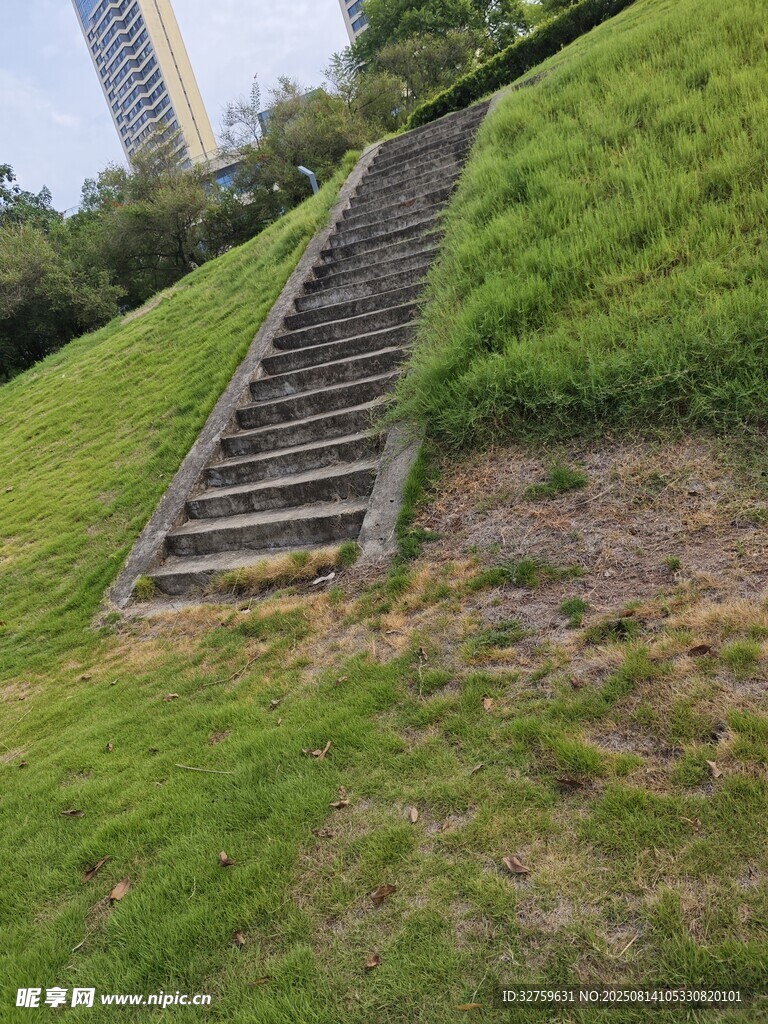 山坡上的木质阶梯
