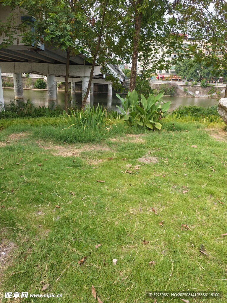 宁静的庭院草地景观