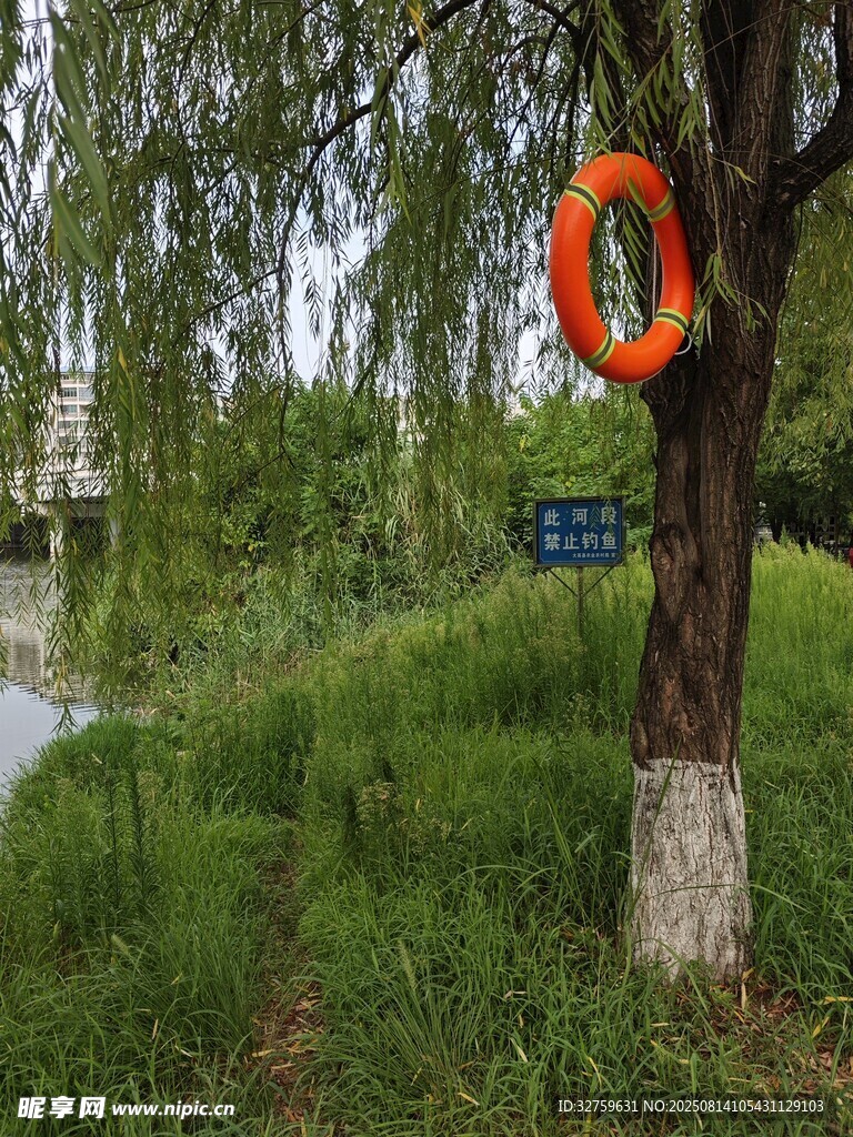 河边树上的橙色救生圈