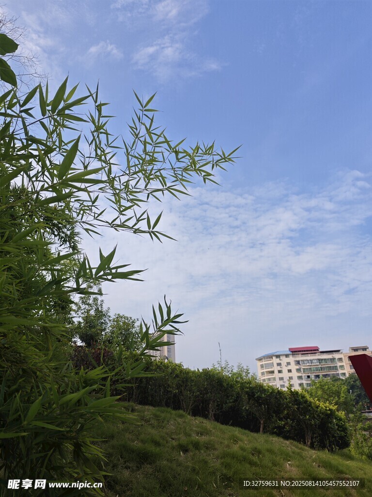 绿意盎然中的建筑远景