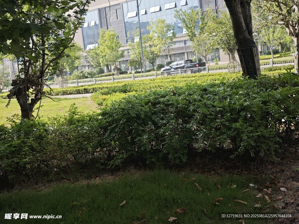 城市中的绿意盎然景观