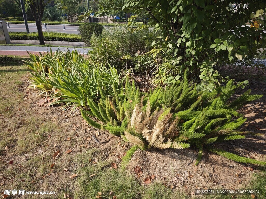 户外绿植景观