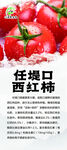 西红柿标签