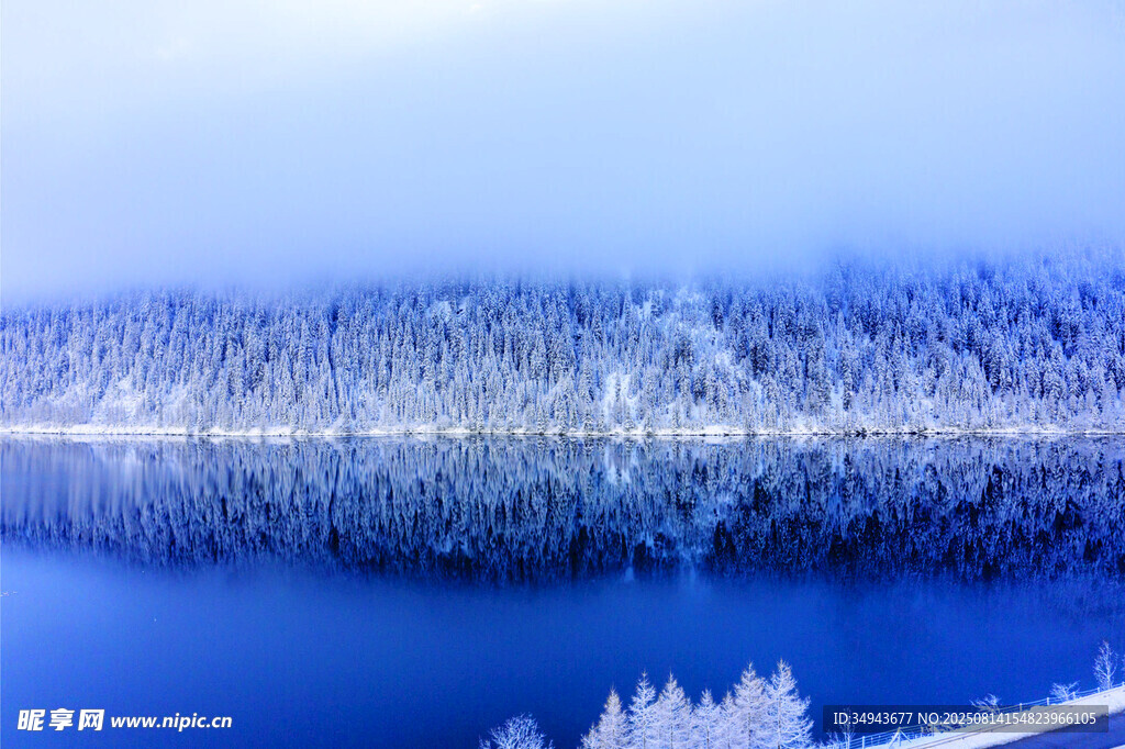 冬日雪覆湖泊森林美景