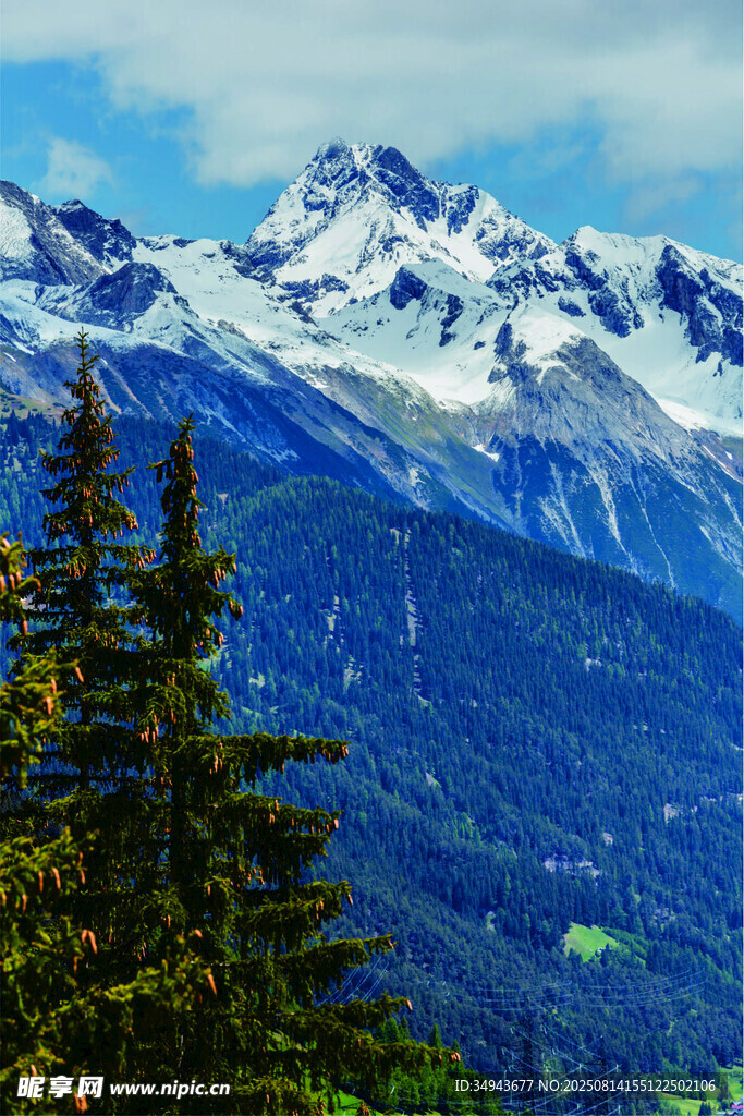 壮丽雪山与葱郁林木景观