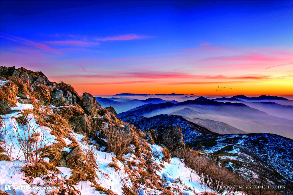 雪山日出壮丽云海景观