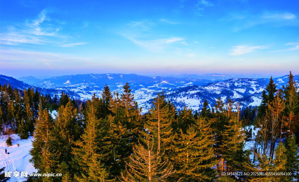 雪岭松林间的壮丽山景