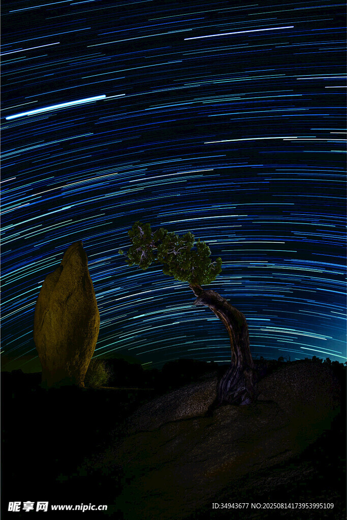 夜空下的孤树与星轨