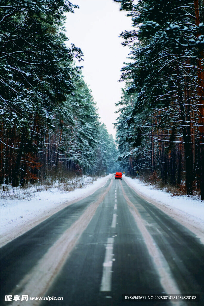 冬日雪林公路上的行驶车辆