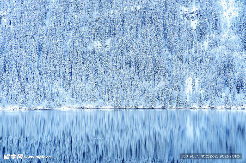 冬日静谧湖面与雪林美景