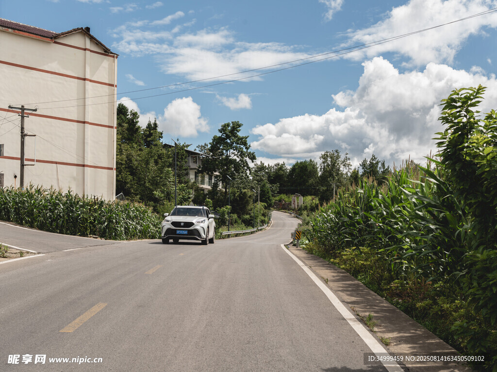 乡村公路行驶的汽车与庄稼