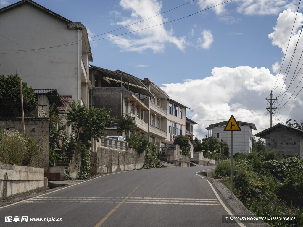 乡村公路旁的宁静民居