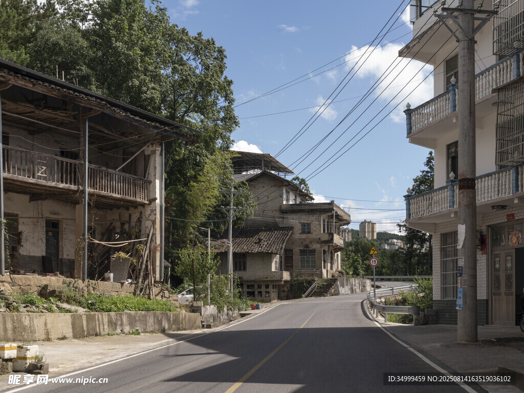 宁静乡村街道景象