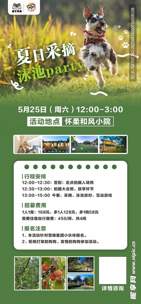 宠物活动