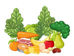 新鲜蔬菜插图