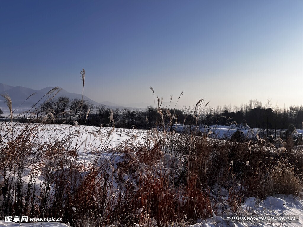 雪景